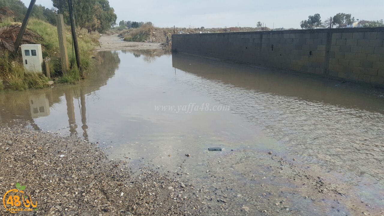 dhamasha ja3 (9).jpg